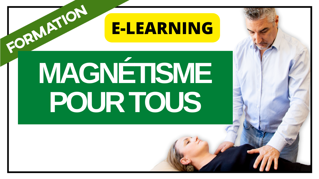 vignette magnetisme pour tous ELEARNING