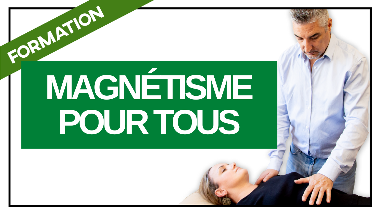 vignette-magnetisme-pour-tous